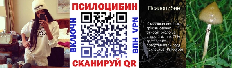 Псилоцибиновые грибы мицелий  Гусь-Хрустальный 