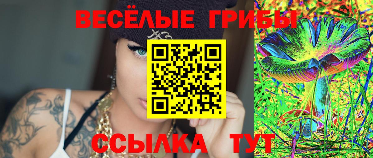 Гусь-Хрустальный  Псилоцибиновые грибы Psilocybine cubensis  Вход с VPN 