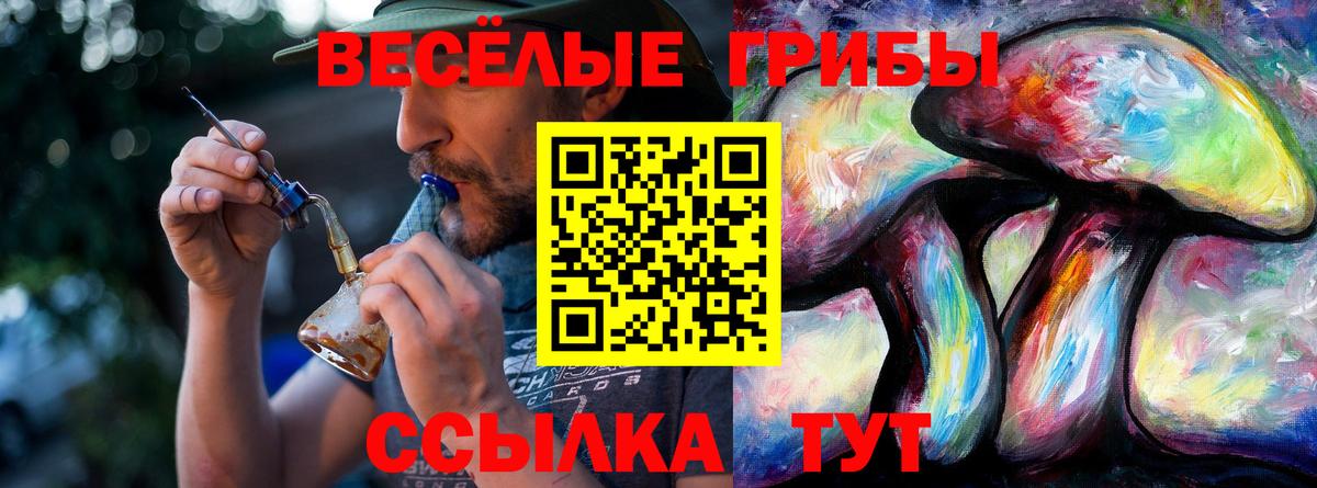 Псилоцибиновые грибы GOLDEN TEACHER  Гусь-Хрустальный 