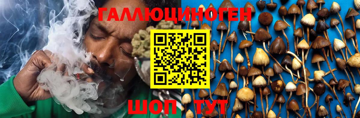 Псилоцибиновые грибы Magic Shrooms Гусь-Хрустальный
