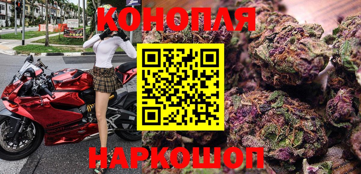 Каннабис планчик Гусь-Хрустальный